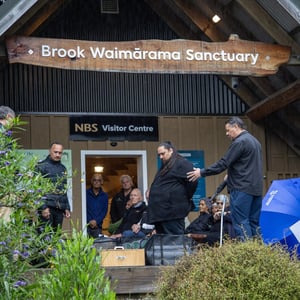 Brook Waimarama Sanctuary