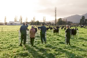 NBS BrandStory Takaka