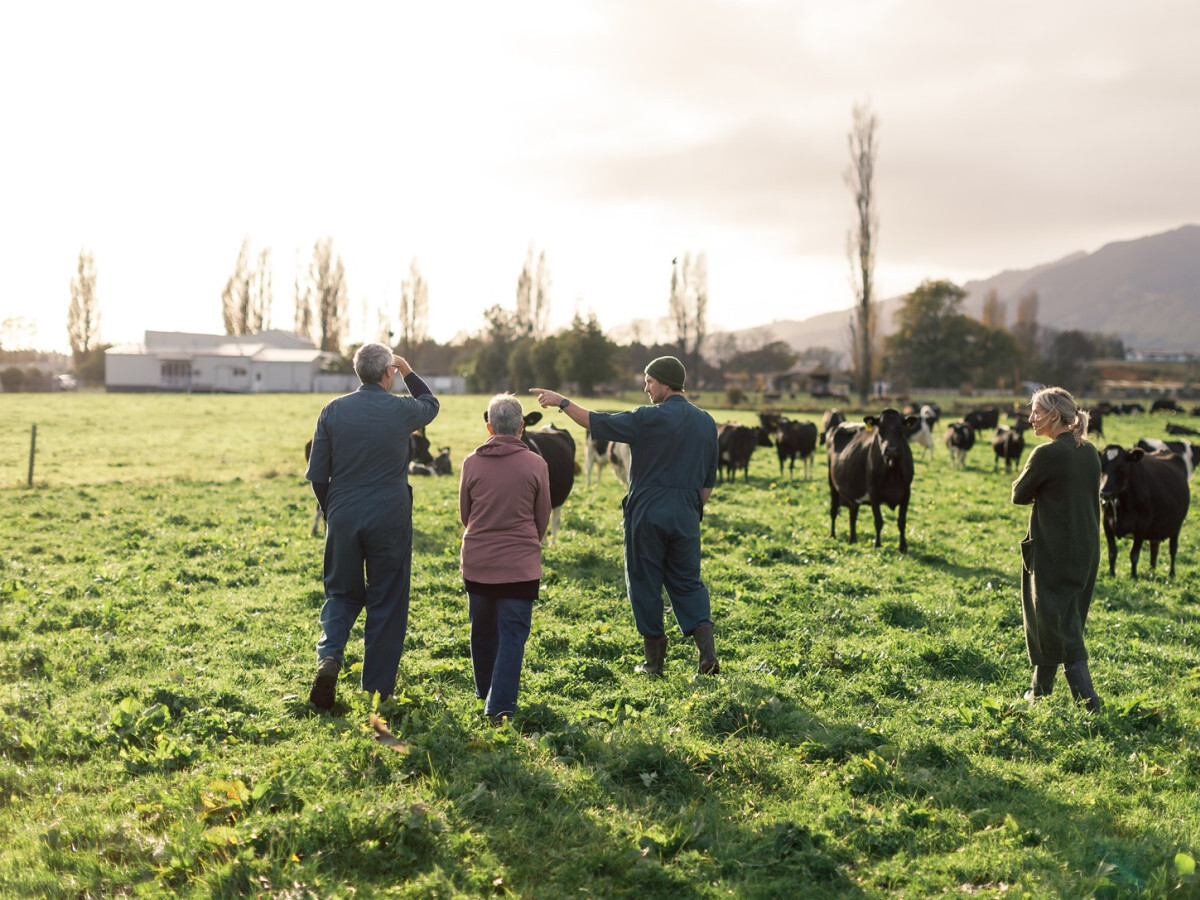 24__FocusFillWyItMC4yMCIsIjAuMDUiLDEyMDAsOTAwXQ.05.16_NBS_BrandStory_Takaka_JohnDeannaShaunCindy-021_web